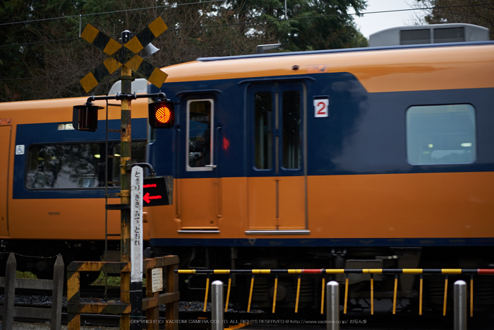 大和七福八宝めぐり,久米寺,2014_DSC_6522Cap(F1.8,NIKKOR58,1,4G,D800E)2014yaotomi.jpg