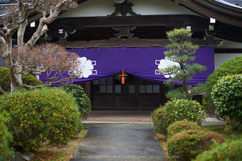 大和七福八宝めぐり,久米寺,2014_DSC_6526Cap(F2,NIKKOR58,1,4G,D800E)2014yaotomi.jpg