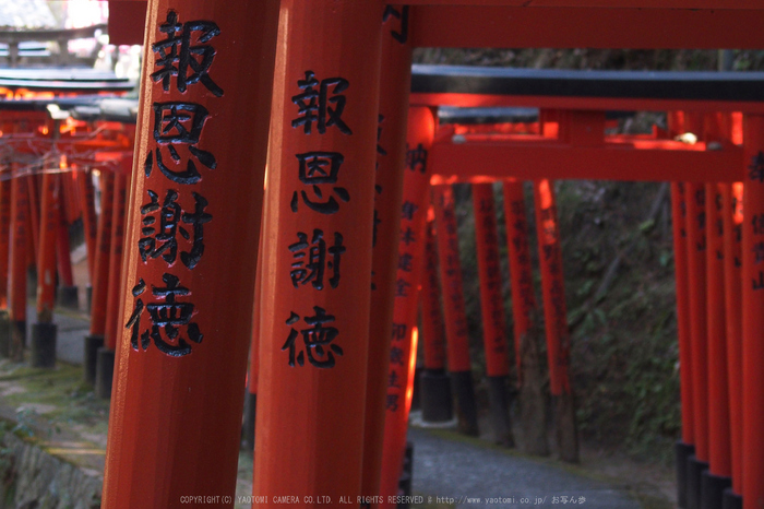 大和七福八宝めぐり,信貴山朝護孫子寺_P1150024(OLYMPUS,STYLUS1)_Cap2014yaotomi_.jpg