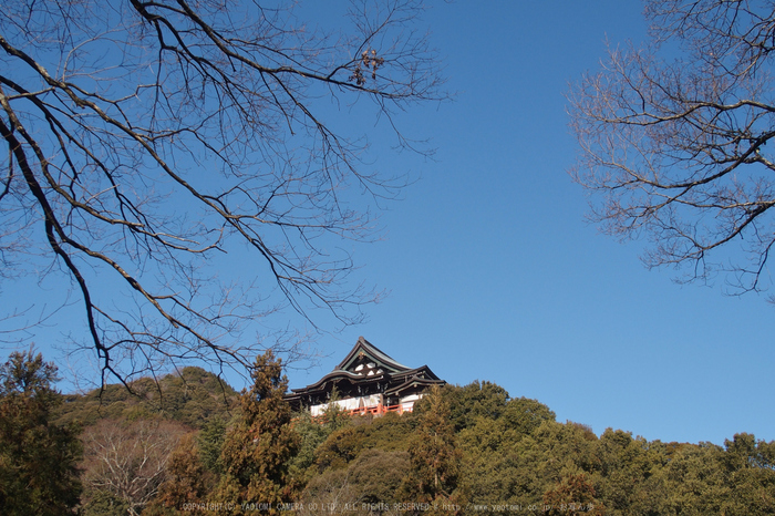 大和七福八宝めぐり,信貴山朝護孫子寺_P1150033(OLYMPUS,STYLUS1)_Cap2014yaotomi_.jpg