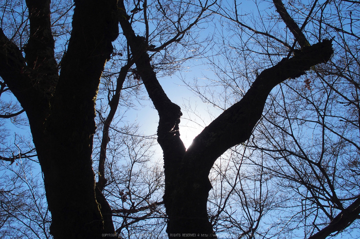 大和七福八宝めぐり,信貴山朝護孫子寺_P1150124(STYLUS1)_Cap2014yaotomi_.jpg