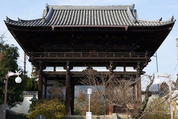 大和七福八宝めぐり,當麻寺,2014_DSC_6360Cap(F4.5,iso100,AF-S,NIKKOR58,1,4G,D800E)2014yaotomi.jpg