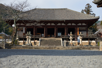 大和七福八宝めぐり,當麻寺,2014_DSC_6376Cap(F2.8,iso100,AF-S,NIKKOR58,1,4G,D800E)2014yaotomi.jpg