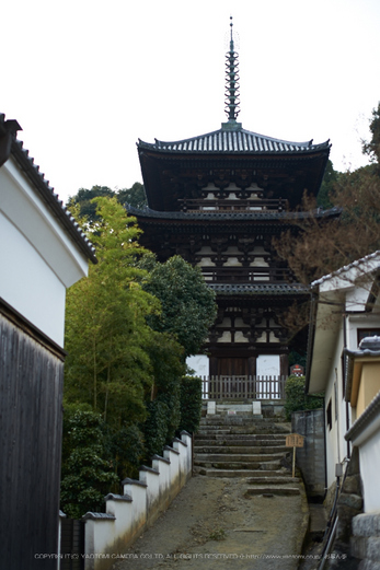 大和七福八宝めぐり,當麻寺,2014_DSC_6382Cap(F1.8,iso100,AF-S,NIKKOR58,1,4G,D800E)2014yaotomi.jpg