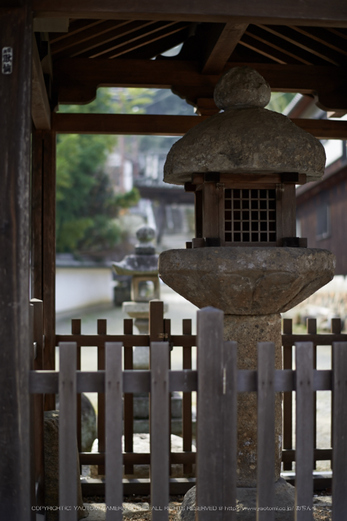 大和七福八宝めぐり,當麻寺,2014_DSC_6387Cap(F1.8,iso100,AF-S,NIKKOR58,1,4G,D800E)2014yaotomi.jpg