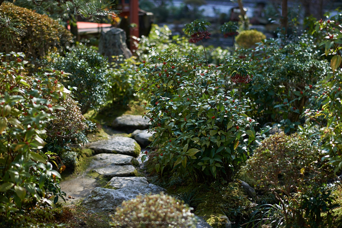 大和七福八宝めぐり,當麻寺,2014_DSC_6391Cap(F2.2,iso100,AF-S,NIKKOR58,1,4G,D800E)2014yaotomi.jpg