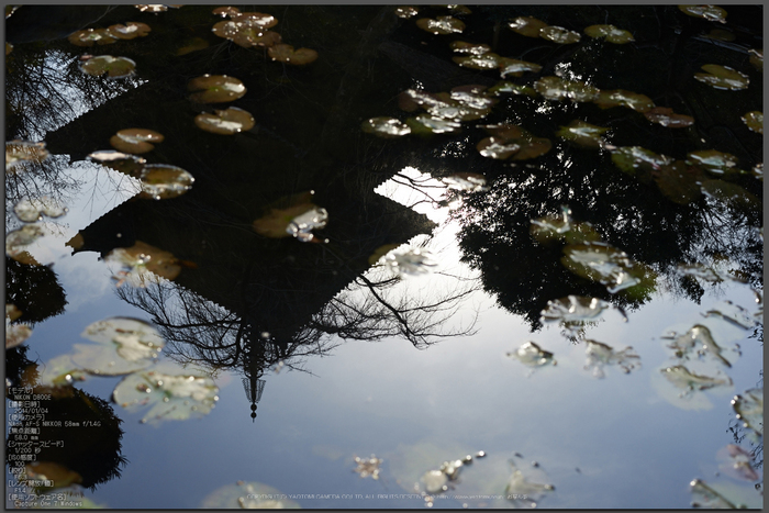 大和七福八宝めぐり,當麻寺,2014_DSC_6405Cap(F6.3,iso100,AF-S,NIKKOR58,1,4G,D800E)2014yaotomi_top.jpg