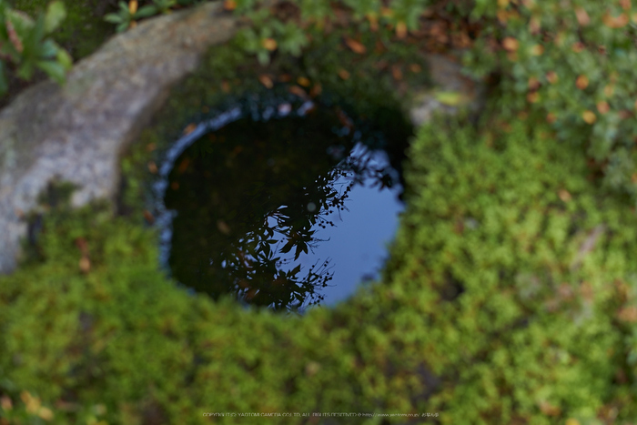 大和七福八宝めぐり,當麻寺,2014_DSC_6413Cap(F3.2,iso100,AF-S,NIKKOR58,1,4G,D800E)2014yaotomi.jpg