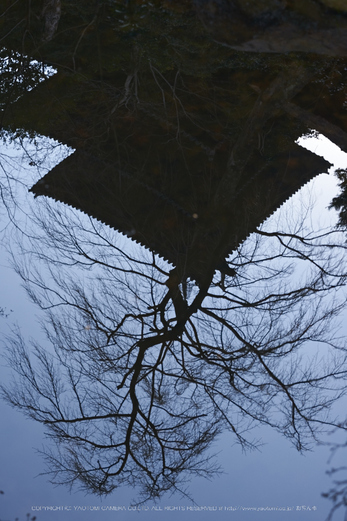 大和七福八宝めぐり,當麻寺,2014_DSC_6418Cap(F4.5,iso100,AF-S,NIKKOR58,1,4G,D800E)2014yaotomi.jpg