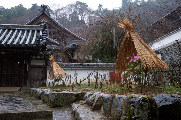 大和七福八宝めぐり,長谷寺,2014_DSCF0156Cap(F8,XF23mmF14 R,XE2)2014yaotomi.jpg