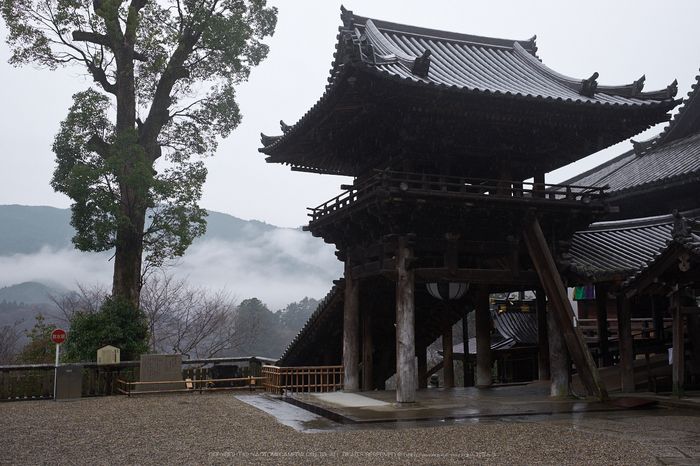 大和七福八宝めぐり,長谷寺,2014_DSCF0227Cap(F4,XF23mmF14 R,XE2)2014yaotomi.jpg