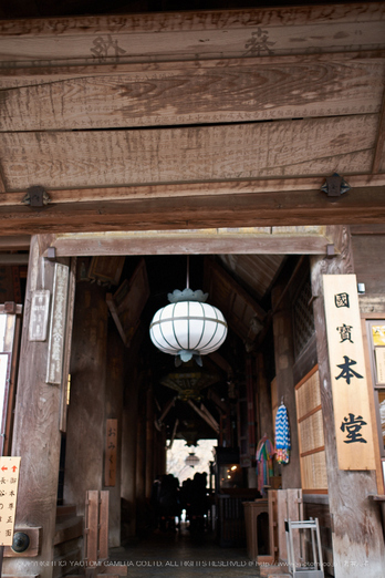 大和七福八宝めぐり,長谷寺,2014_DSCF0233Cap(F1.8,XF23mmF14 R,XE2)2014yaotomi.jpg