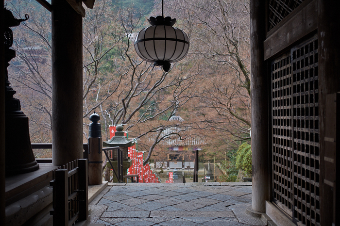 大和七福八宝めぐり,長谷寺,2014_DSCF0242Cap(F1.4,XF23mmF14 R,XE2)2014yaotomi.jpg