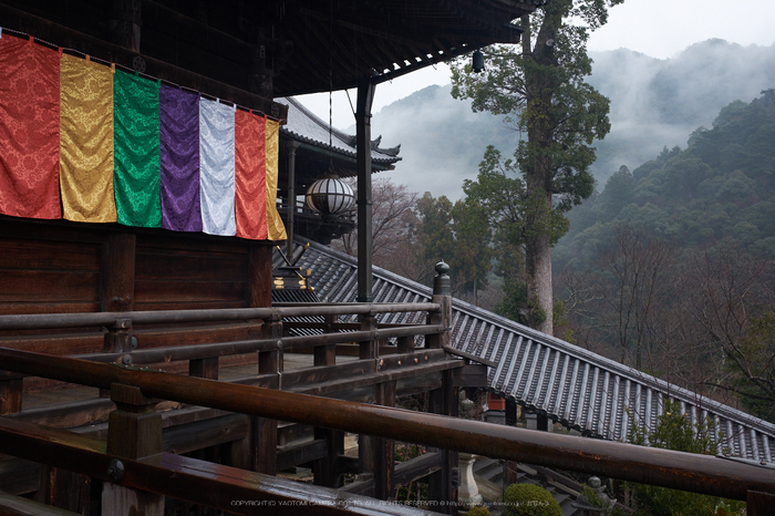 大和七福八宝めぐり,長谷寺,2014_DSCF0257Cap(F8,XF23mmF14 R,XE2)2014yaotomi.jpg