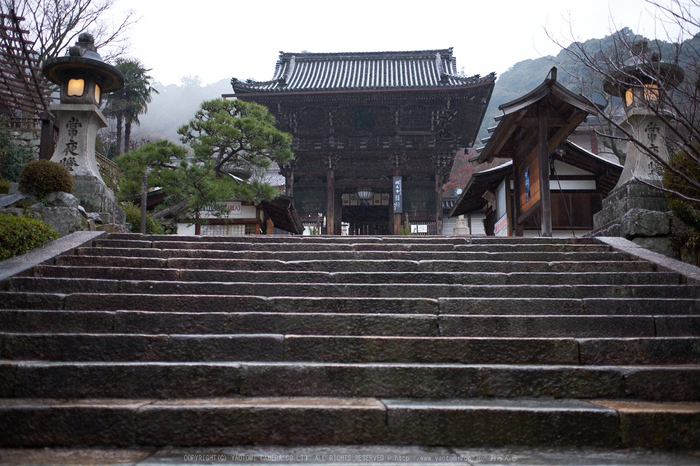 大和七福八宝めぐり,長谷寺_DSCF0145(Cap,F1.6,iso200,XF23mm,XE2)2014yaotomi.jpg