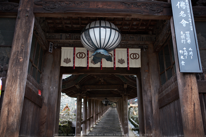 大和七福八宝めぐり,長谷寺_DSCF0151(Cap,F1.4,iso200,XF23mm,XE2)2014yaotomi.jpg