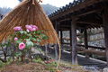 大和七福八宝めぐり,長谷寺_DSCF0165(Cap,F3.2,iso200,XF23mm,XE2,FULL)2014yaotomi.jpg