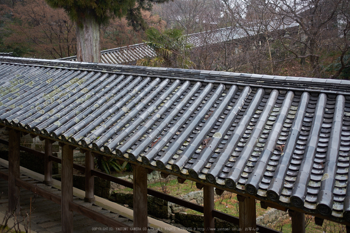 大和七福八宝めぐり,長谷寺_DSCF0192(Cap,F1.6,iso200,XF23mm,XE2)2014yaotomi.jpg