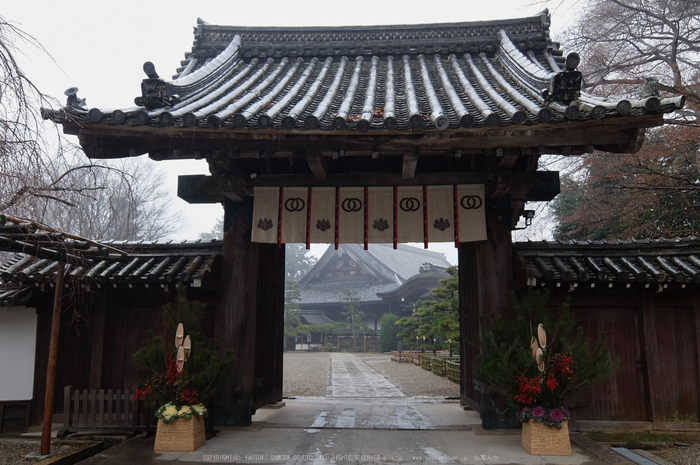 大和七福八宝めぐり,長谷寺_DSCF0254(Cap,6.4mm,F4,iso100,XQ1)2014yaotomi.jpg