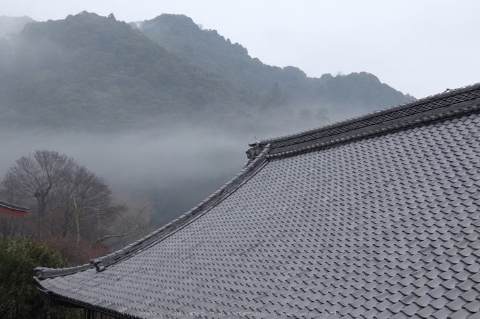 大和七福八宝めぐり,長谷寺_DSCF0271(Cap,12.8mm,F4.2,iso100,XQ1)2014yaotomi.jpg