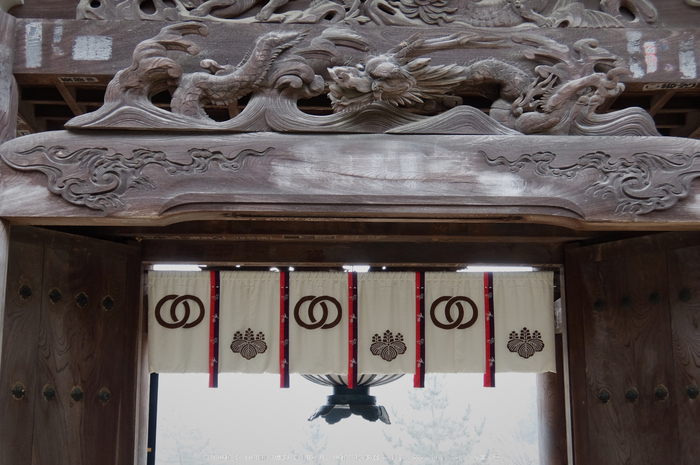 大和七福八宝めぐり,長谷寺_DSCF0276(Cap,14.3mm,F4.5,iso100,XQ1)2014yaotomi.jpg