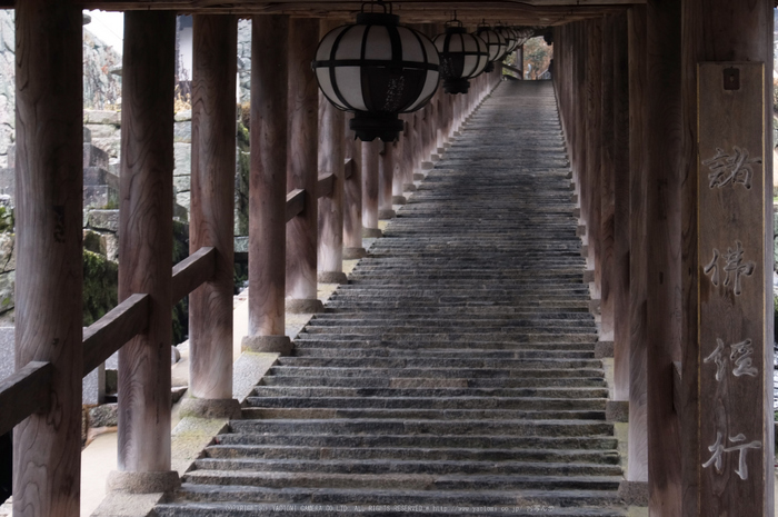 大和七福八宝めぐり,長谷寺_DSCF0282(Cap,25.6mm,F4.9,iso100,XQ1)2014yaotomi.jpg