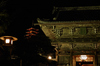 奈良長谷寺,観音万燈会_Cap(95mm,F4.5,iso3200,5DmarkII,SIGMA24_105,FULL)2014yaotomi_IMG_4999_.jpg