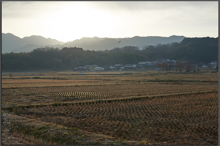 明日香(20140104)_DSC_6294Cap(F7.1,iso100,AF-S,NIKKOR58,1,4G,D800E)2014yaotomi_top.jpg