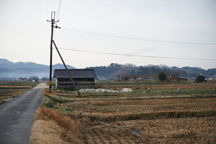 明日香(20140104)_DSC_6304Cap(F2,iso100,AF-S,NIKKOR58,1,4G,D800E)2014yaotomi.jpg