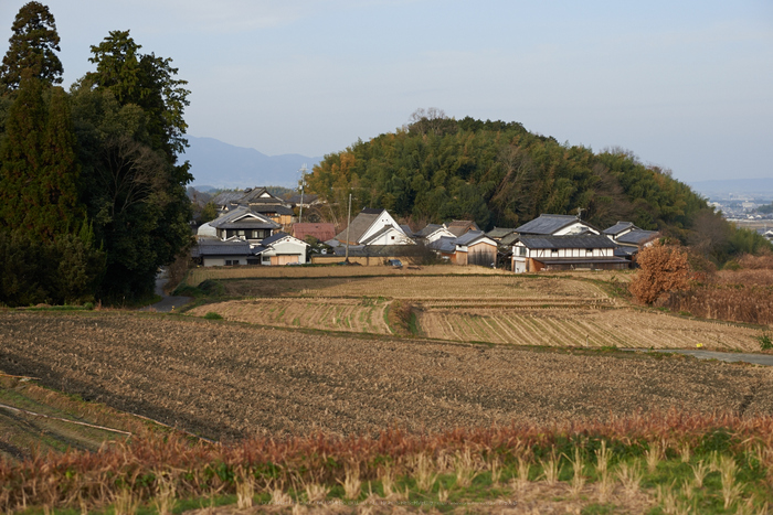 明日香(20140104)_DSC_6315Cap(F4,iso100,AF-S,NIKKOR58,1,4G,D800E)2014yaotomi.jpg