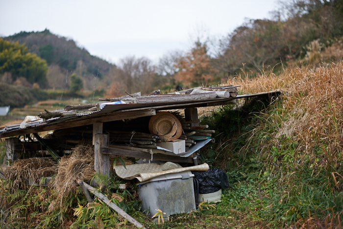 明日香(20140104)_DSC_6320Cap(F1.8,iso100,AF-S,NIKKOR58,1,4G,D800E)2014yaotomi.jpg