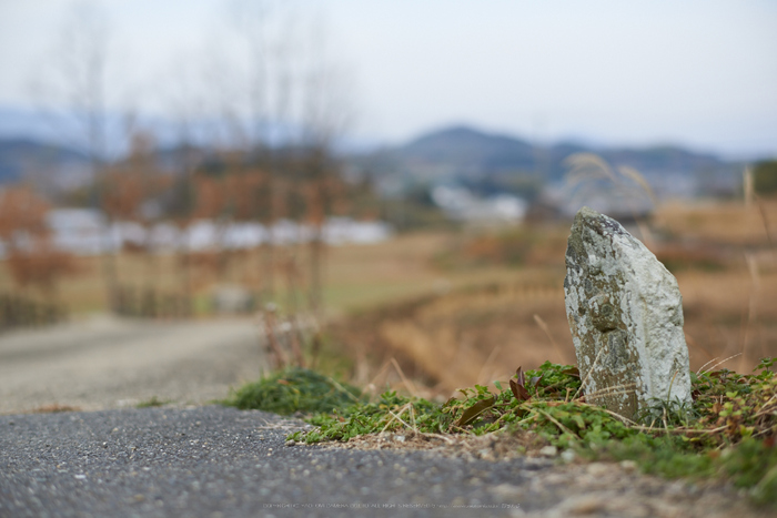 明日香(20140104)_DSC_6331Cap(F2.2,iso100,AF-S,NIKKOR58,1,4G,D800E)2014yaotomi.jpg