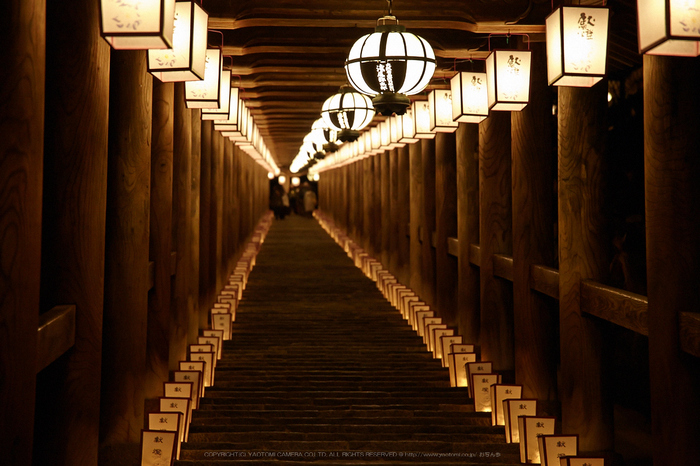 長谷寺,観音万燈会_IMG_4813Cap(105mm,F4.5,iso1600,SIGMA24_105,5DmarkII)2013yaotomi.jpg