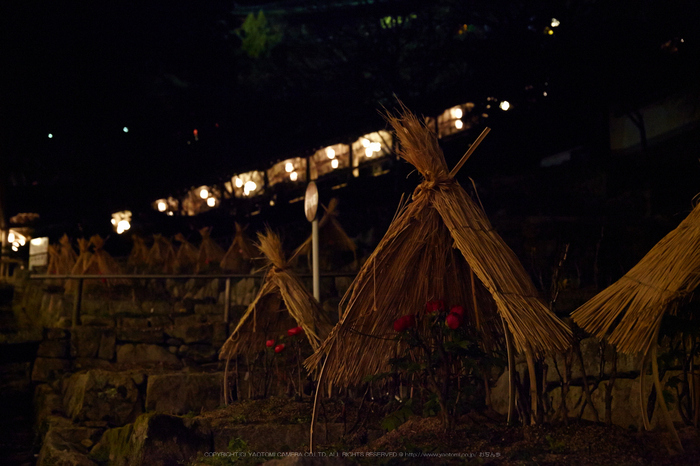 長谷寺,観音万燈会_IMG_4820Cap(62mm,F4.5,iso3200,SIGMA24_105,5DmarkII)2013yaotomi.jpg