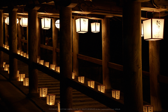 長谷寺,観音万燈会_IMG_4828Cap(57mm,F4.5,iso1600,SIGMA24_105,5DmarkII)2013yaotomi.jpg