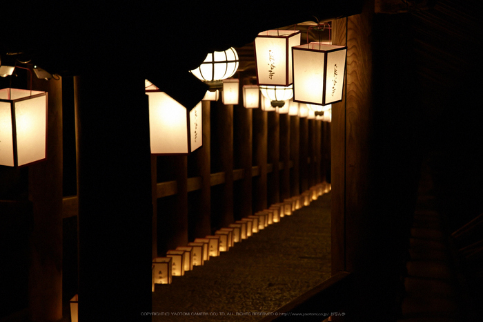 長谷寺,観音万燈会_IMG_4860Cap(105mm,F4.5,iso1600,SIGMA24_105,5DmarkII)2013yaotomi.jpg