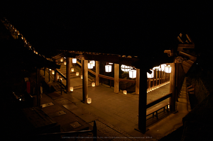 長谷寺,観音万燈会_IMG_4864Cap(24mm,F4.5,iso3200,SIGMA24_105,5DmarkII)2013yaotomi.jpg