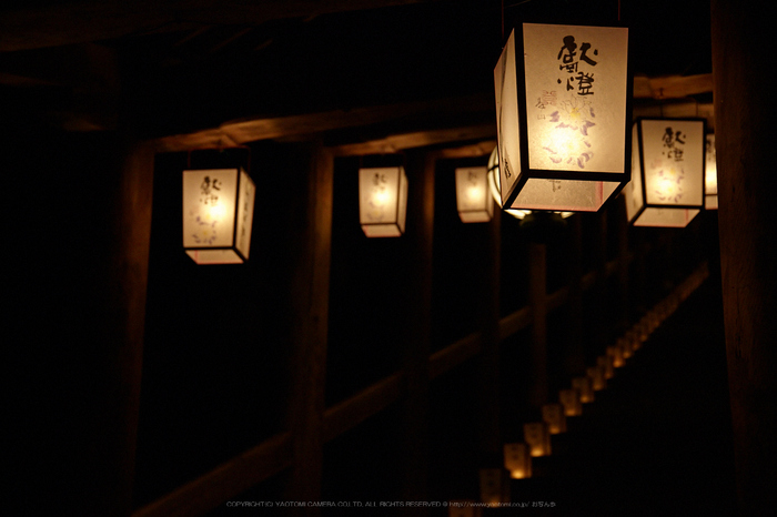 長谷寺,観音万燈会_IMG_4875Cap(68mm,F4.5,iso1600,SIGMA24_105,5DmarkII)2013yaotomi.jpg