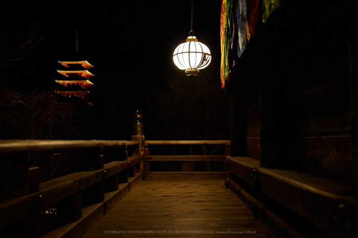 長谷寺,観音万燈会_IMG_4911Cap(42mm,F4.5,iso1600,SIGMA24_105,5DmarkII)2013yaotomi.jpg