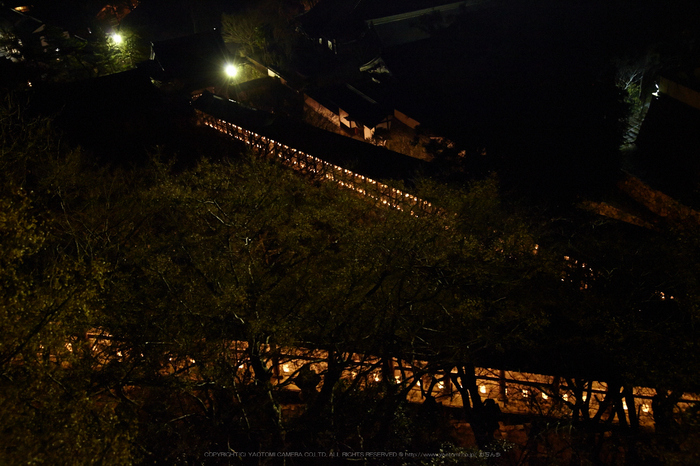 長谷寺,観音万燈会_IMG_4914Cap(42mm,F4.5,iso3200,SIGMA24_105,5DmarkII)2013yaotomi.jpg