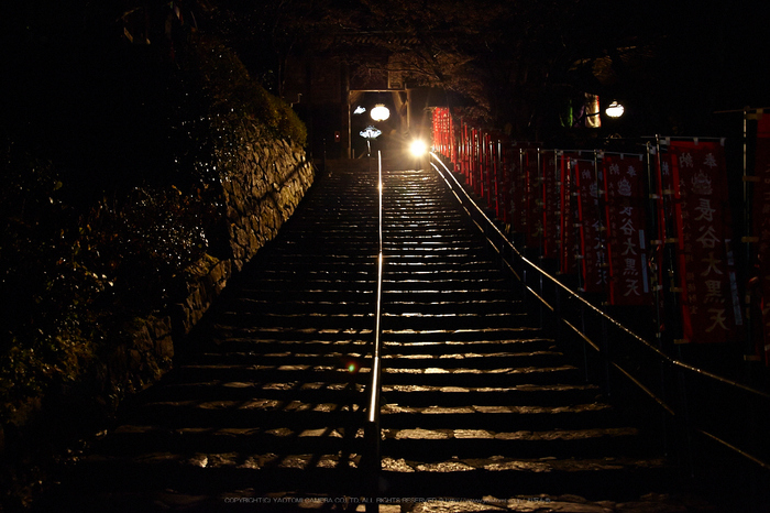 長谷寺,観音万燈会_IMG_4927Cap(31mm,F4.5,iso1600,SIGMA24_105,5DmarkII)2013yaotomi.jpg