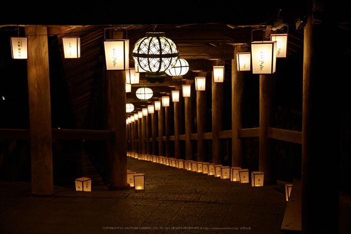 長谷寺,観音万燈会_IMG_4937Cap(62mm,F5.6,iso1600,SIGMA24_105,5DmarkII)2013yaotomi.jpg