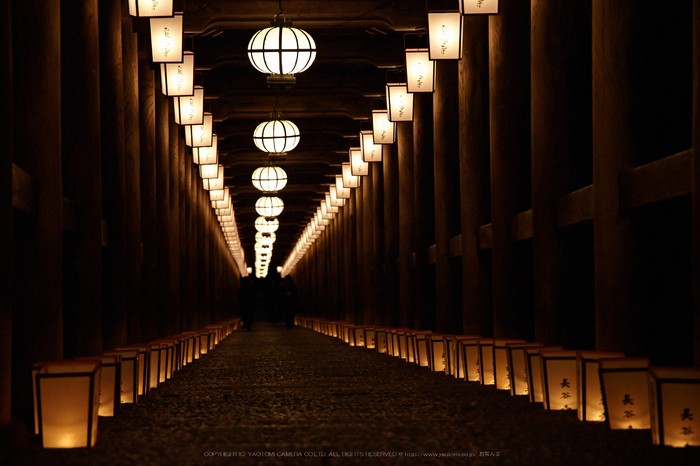 長谷寺,観音万燈会_IMG_4952Cap(105mm,F5,iso1600,SIGMA24_105,5DmarkII)2013yaotomi.jpg