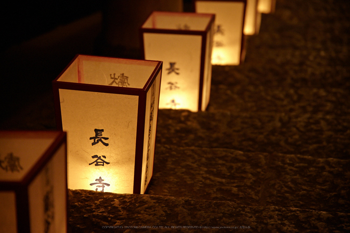 長谷寺,観音万燈会_IMG_4961Cap(105mm,F4,iso1600,SIGMA24_105,5DmarkII)2013yaotomi.jpg