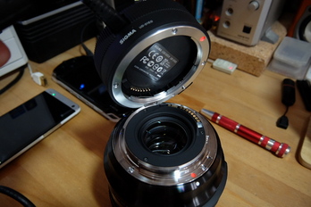 SIGMA,24-105mm,F4(XQ1),2014yaotomi_DSCF0203.jpg