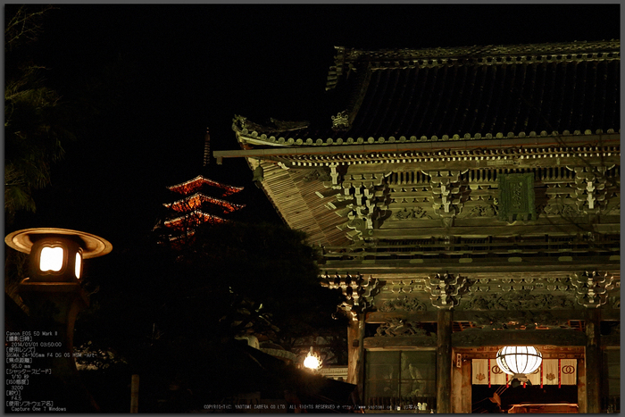 奈良 長谷寺 観音万燈会 2014 ／ SIGMA 24-105mm F4 DG OS HSM Art
