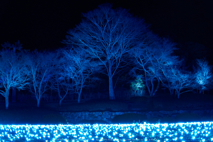 なら瑠璃絵_PENTAX,MX1(18-54-45,6mm,F1.8)_2014yaotomi_.jpg