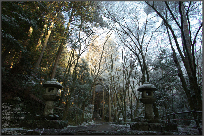 三尾,高山寺,PK3_5682_(14mm,F8,0)_2014yaotomi_top.jpg