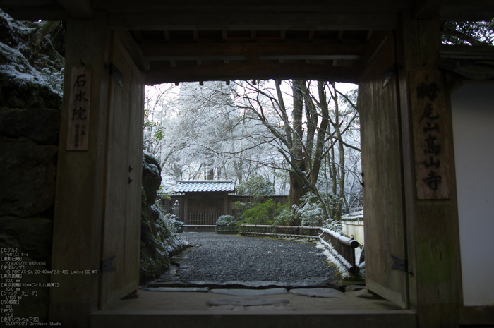 三尾,高山寺,PK3_5688_(20mm,F2,8)_2014yaotomi_.jpg