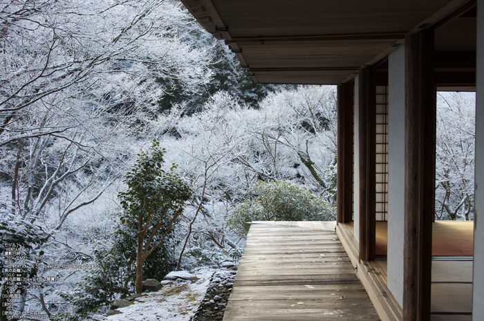 三尾,高山寺,PK3_5749_(30mm,F7,1)_2014yaotomi_.jpg